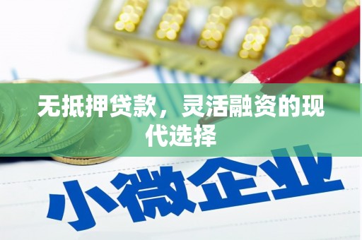 普湾新区无抵押贷款，灵活融资的现代选择