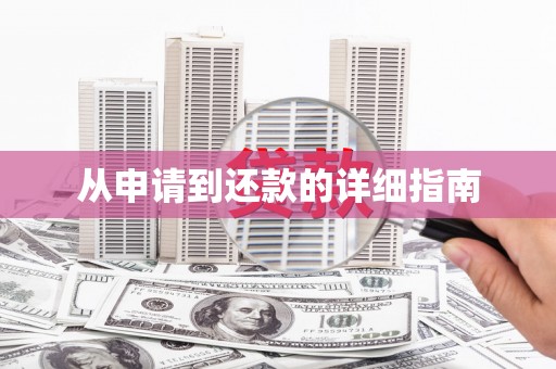 普湾新区从申请到还款的详细指南