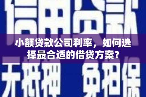 普湾新区小额贷款公司利率，如何选择最合适的借贷方案？