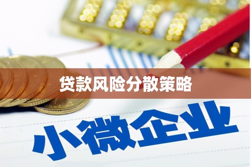 普湾新区贷款风险分散策略