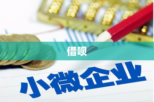 普湾新区借呗