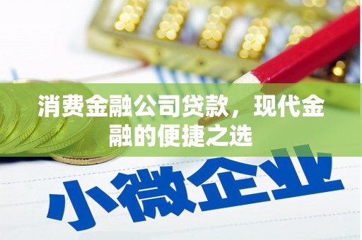 普湾新区消费金融公司贷款，现代金融的便捷之选