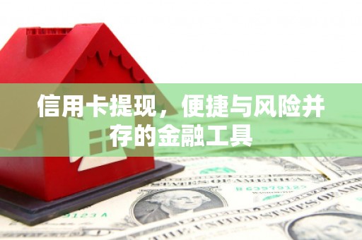 普湾新区信用卡提现，便捷与风险并存的金融工具