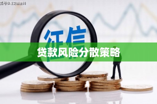 普湾新区贷款风险分散策略