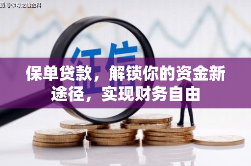 普湾新区保单贷款，解锁你的资金新途径，实现财务自由