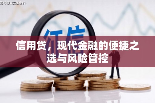 普湾新区信用贷，现代金融的便捷之选与风险管控