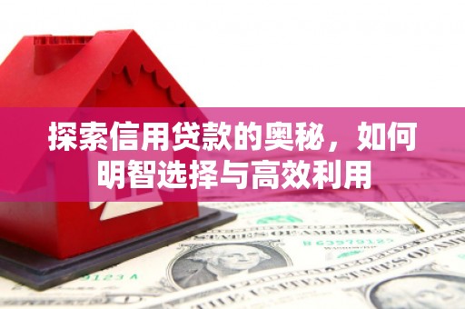 普湾新区探索信用贷款的奥秘，如何明智选择与高效利用