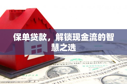 普湾新区保单贷款，解锁现金流的智慧之选