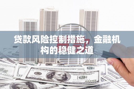 普湾新区贷款风险控制措施，金融机构的稳健之道