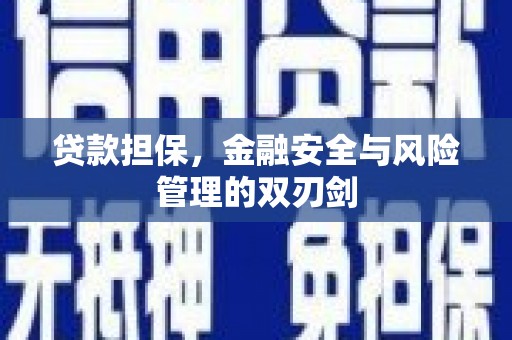 普湾新区贷款担保，金融安全与风险管理的双刃剑