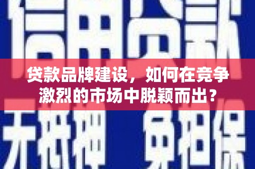 普湾新区贷款品牌建设，如何在竞争激烈的市场中脱颖而出？