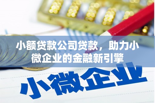 普湾新区小额贷款公司贷款，助力小微企业的金融新引擎