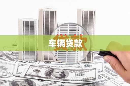 普湾新区车辆贷款