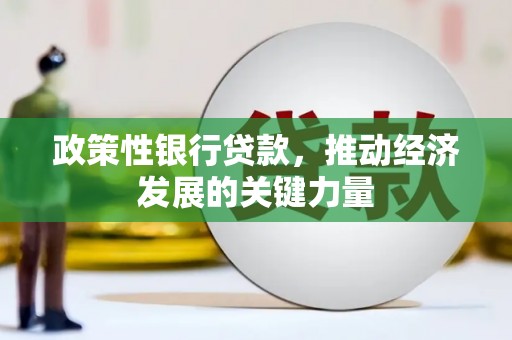 普湾新区政策性银行贷款，推动经济发展的关键力量