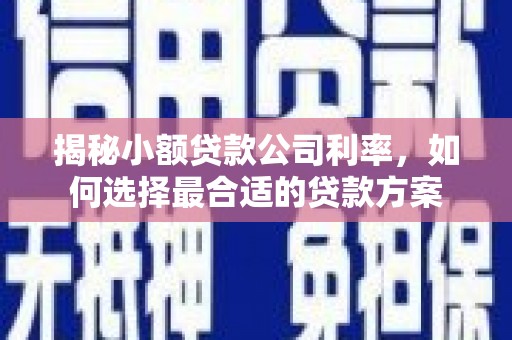 普湾新区揭秘小额贷款公司利率，如何选择最合适的贷款方案