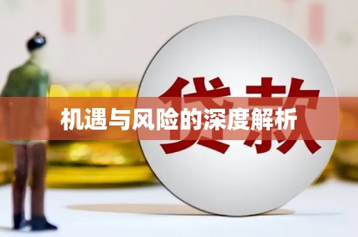 普湾新区机遇与风险的深度解析