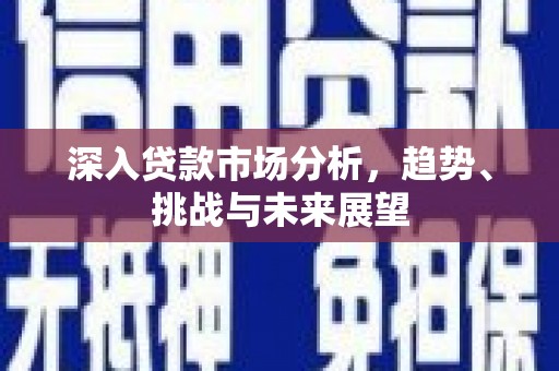 普湾新区深入贷款市场分析，趋势、挑战与未来展望