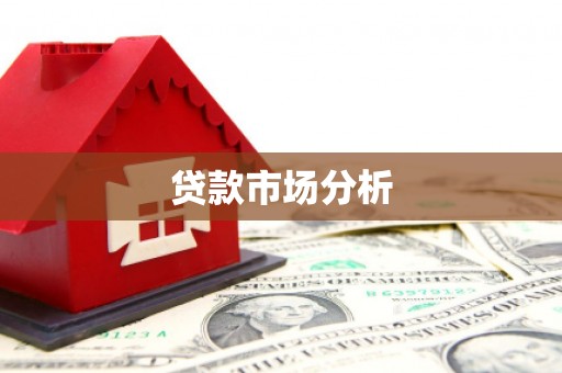普湾新区贷款市场分析