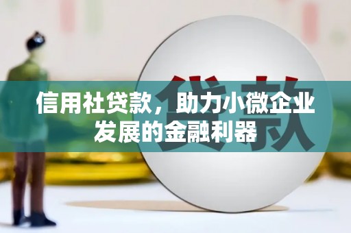 普湾新区信用社贷款，助力小微企业发展的金融利器