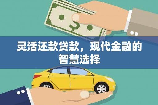 普湾新区灵活还款贷款，现代金融的智慧选择