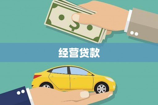 普湾新区经营贷款