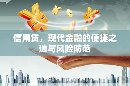 普湾新区信用贷，现代金融的便捷之选与风险防范