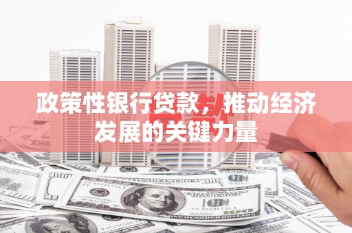 普湾新区政策性银行贷款，推动经济发展的关键力量