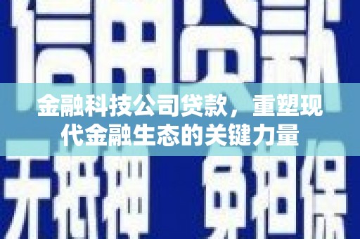 普湾新区金融科技公司贷款，重塑现代金融生态的关键力量