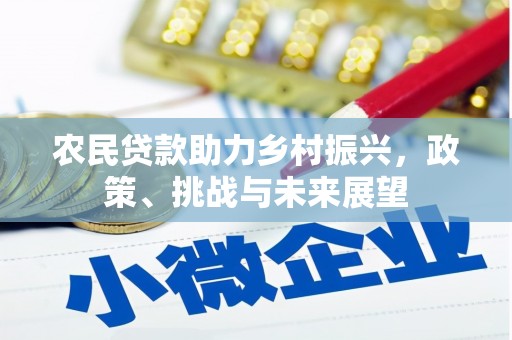 普湾新区农民贷款助力乡村振兴，政策、挑战与未来展望