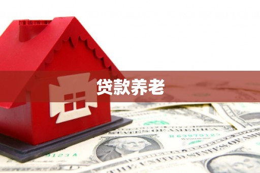 普湾新区贷款养老