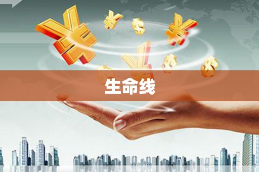 普湾新区生命线
