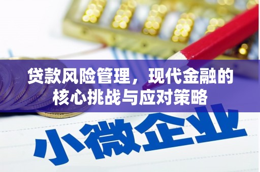 普湾新区贷款风险管理，现代金融的核心挑战与应对策略