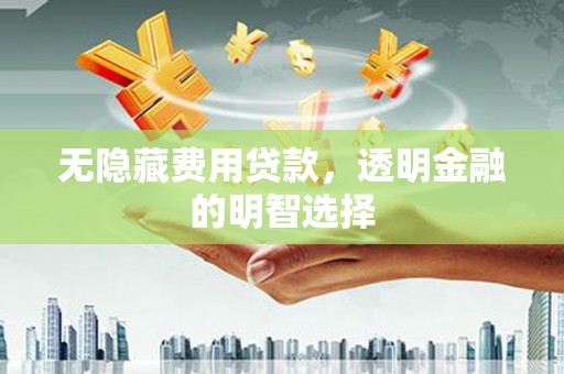 普湾新区无隐藏费用贷款，透明金融的明智选择