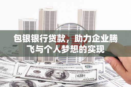 普湾新区包银银行贷款，助力企业腾飞与个人梦想的实现