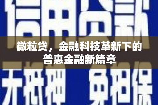 普湾新区微粒贷，金融科技革新下的普惠金融新篇章