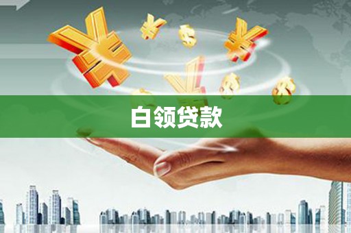 普湾新区白领贷款