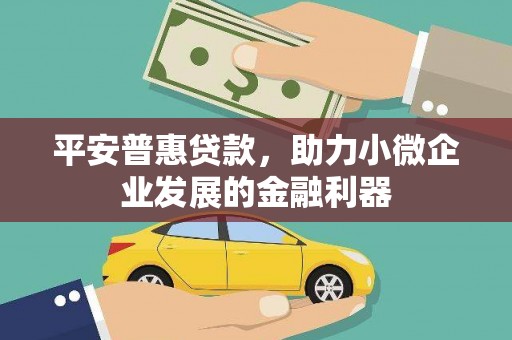 普湾新区平安普惠贷款，助力小微企业发展的金融利器