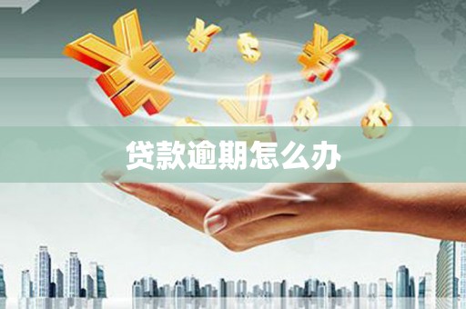普湾新区贷款逾期怎么办