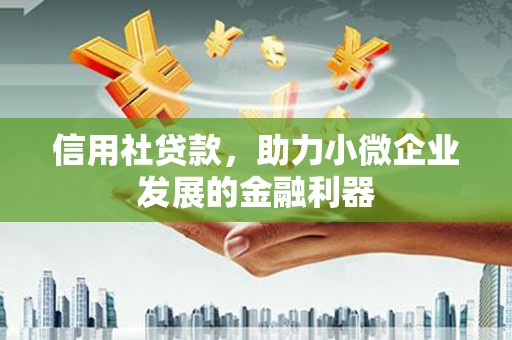 普湾新区信用社贷款，助力小微企业发展的金融利器