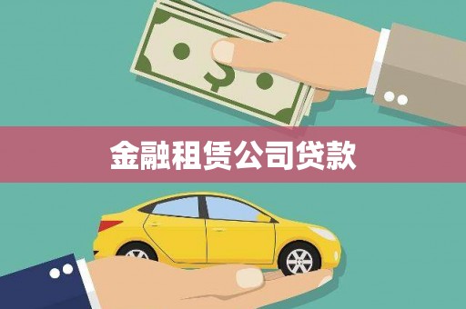 普湾新区金融租赁公司贷款