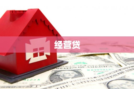 普湾新区经营贷