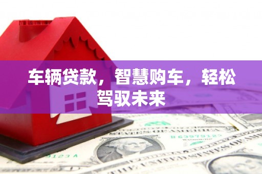 普湾新区车辆贷款，智慧购车，轻松驾驭未来