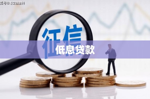 普湾新区低息贷款