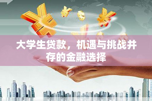 普湾新区大学生贷款，机遇与挑战并存的金融选择