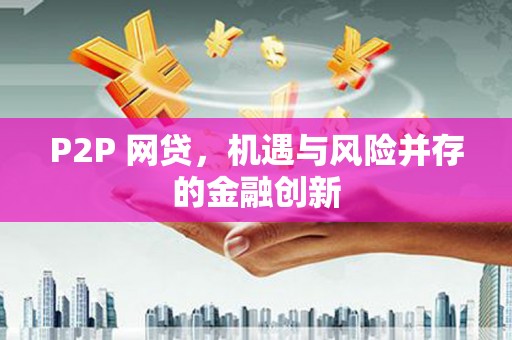 普湾新区P2P 网贷，机遇与风险并存的金融创新