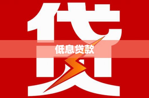 普湾新区低息贷款