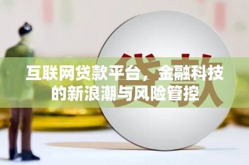 普湾新区互联网贷款平台，金融科技的新浪潮与风险管控