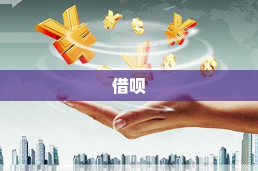普湾新区借呗