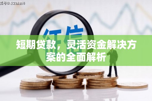 普湾新区短期贷款，灵活资金解决方案的全面解析