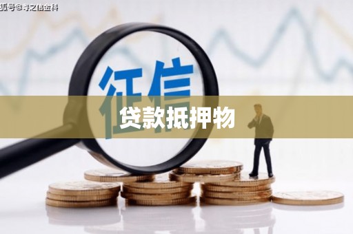 普湾新区贷款抵押物